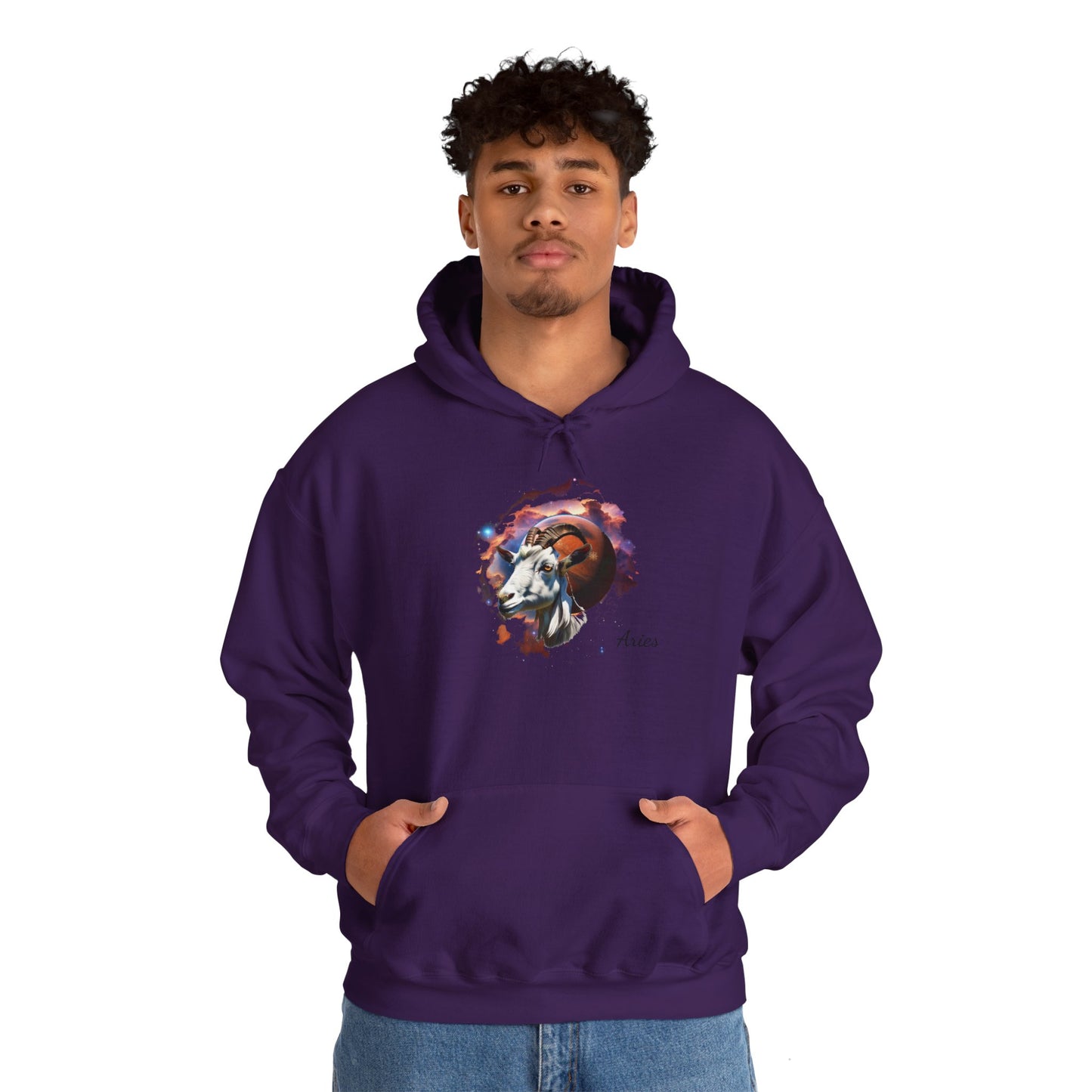 Aries Zodiac Hoodie