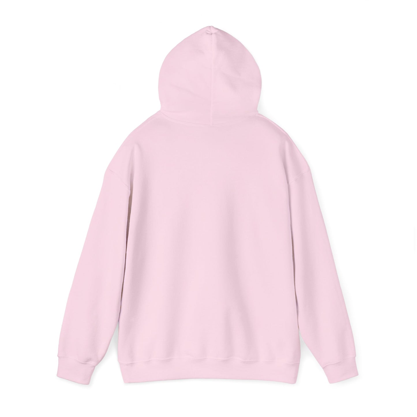 Trans Lives Matter Flag Hoodie V2