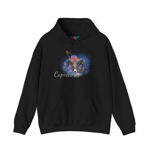 Capricorn Zodiac Hoodie